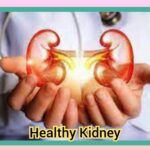 Healthy kidney