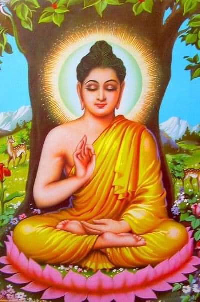 Budhha Purnima