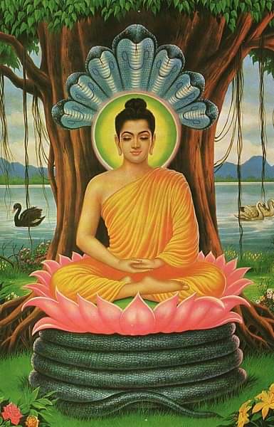 Budhha Jayanti