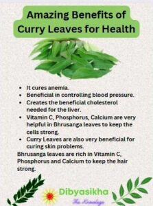 Health benefits of Curry leaves