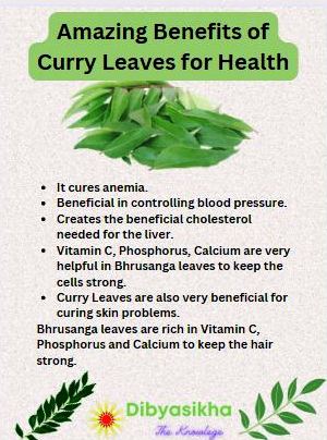 9 Benefits Of Eating Curry Leaves