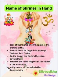 shrines present in which part on your Hand