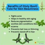 use of tulsi for skin