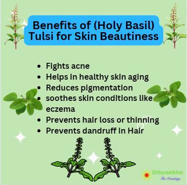 use of tulsi for skin