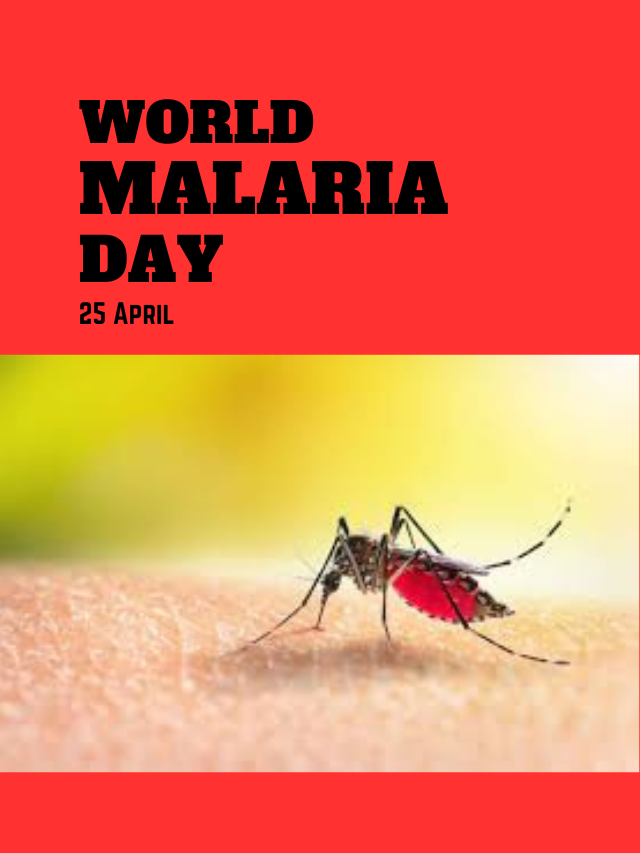 World Malaria Day 2024 – the global efforts to control malaria